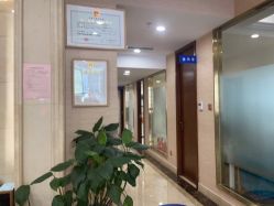 -碧莲盛·不剃发植发