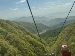 -王顺山国家森林公园