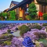 3-5月无锡旅行攻略拈花湾鼋头渚赏樱花详情