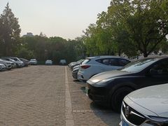 -上海市第一人民医院(松江南部)