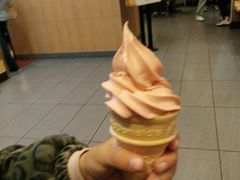 红豆双皮奶风味圆筒-麦当劳(郴州北湖店)