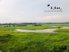 -米内日亚国家公园