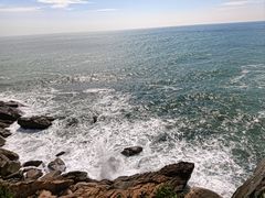 -广东惠东海龟国家级自然保护区