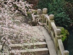 -北寺塔