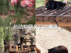 -石家庄市动物园