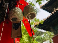 -隆兴寺