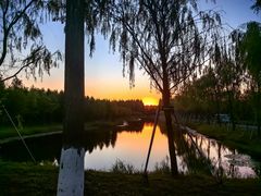 -黄海国家森林公园