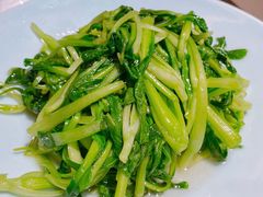 清炒鸡毛菜-高佳庄·舟山海鲜(海景旗舰店)