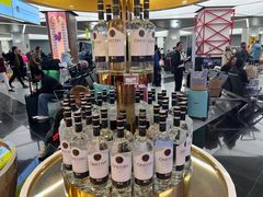 -谢列梅捷沃国际机场