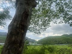 -莫干山风景区