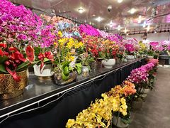 -双季花艺园艺市场(浦东店)