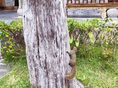 -大理文庙(大理古城)