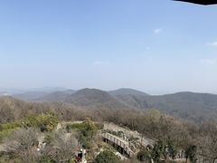 -南京老山国家森林公园