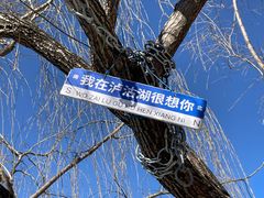 -丽江泸沽湖景区