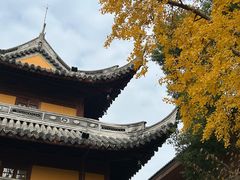 -龙华素斋(龙华路店)