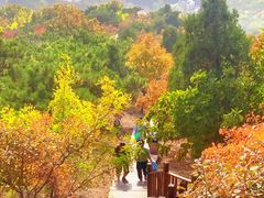 -北京十三陵国家森林公园蟒山景区