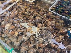 -青石桥市场北1-27号