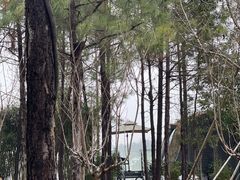 -崇阳三特浪口温泉
