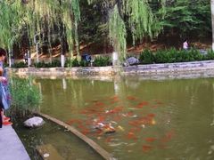 -西安市长乐公园