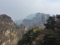 -王莽岭风景区