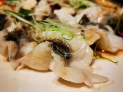 石斑鱼-衡山汇·高级粤菜(霄云路店)