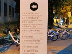 -三里屯东五街银杏大道
