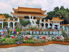 -深圳仙湖植物园
