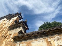 -杨家堂村