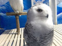 -成都浩海立方海洋公园