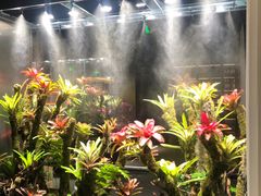 -扶摇湘宴·烤鸭·湘粤宴(中关村·北大店)