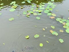 -鹤冈八幡宫