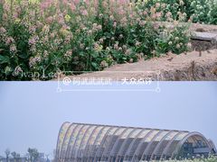 -中国天府农业博览园