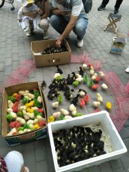 -大连市妇女儿童医疗中心(希望广场儿童院区)