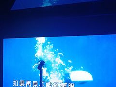 -魅KTV·AI辅唱(人民广场旗舰店)