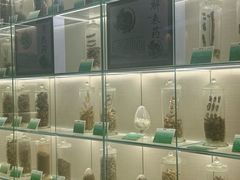 -广东中医药博物馆
