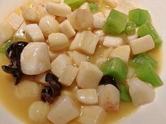-淮扬府·游园京梦(北京SKP店)