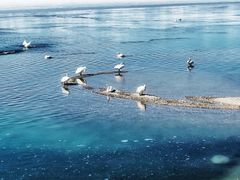 -赛里木湖风景名胜区