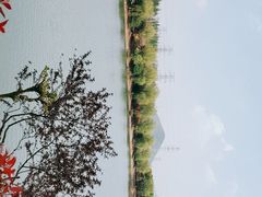 -羊山湖公园