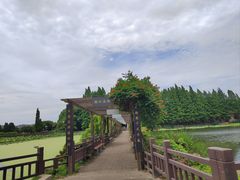 -东山香樟园