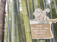 -苏州环秀晓筑养生度假村