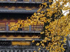 -常熟方塔园