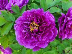 -泗洪洪泽湖湿地景区