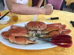 松叶蟹-蚝专家(北滘店)