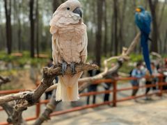 -北京野生动物园