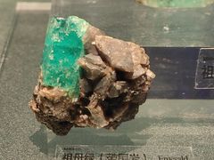 -中国地质博物馆