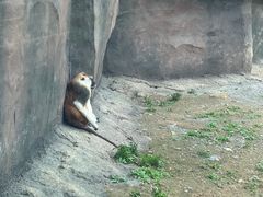 -杭州野生动物世界
