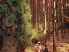 -山王坪喀斯特国家生态公园