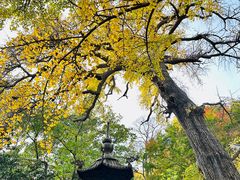 -青岛崂山太清宫