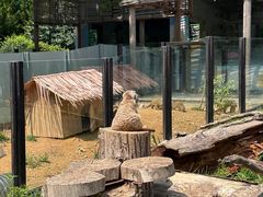 -大连森林动物园