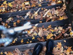 -帽儿山国家森林公园